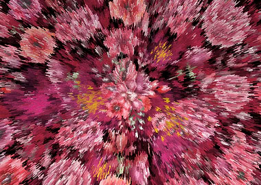 Viva magwenta floral