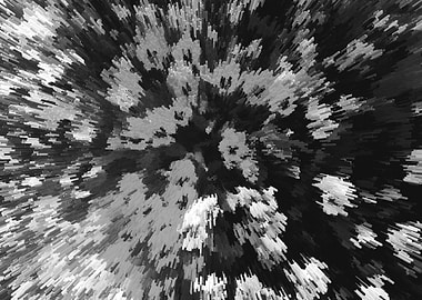 Black and white floral