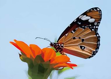 Low Poly Butterfly