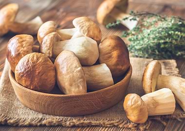 Bowl of porcini mushrooms