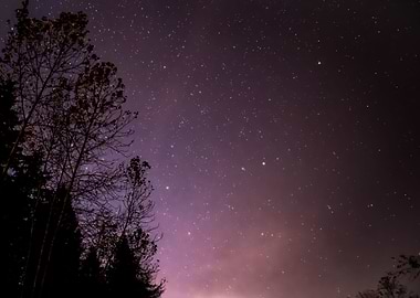 Purple Starry Sky