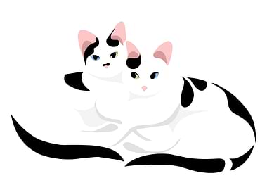 cats love story