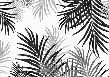 Palm Jungle 2 tropical