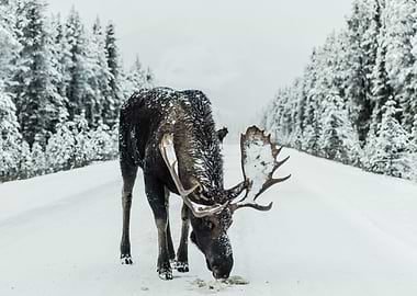 Landscape Photography