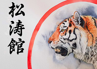 Shotokan Karate Tiger