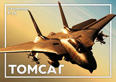 F14 Tomcat