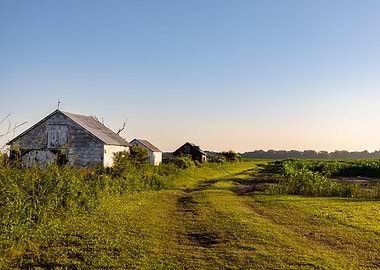 Rural Lanscape