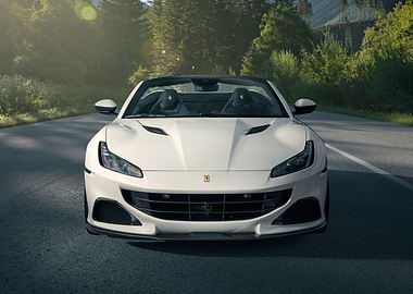 Ferrari portofino m