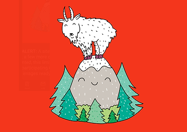 white sheep