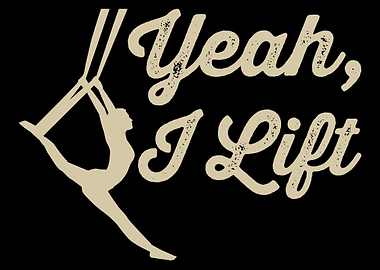 Aerial Silk Aerialist