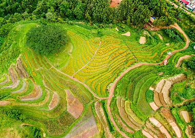 Nice Terraced meadows