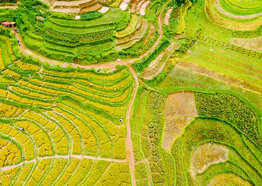 Nice Terraced meadows