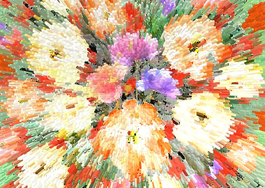 California poppy explosion