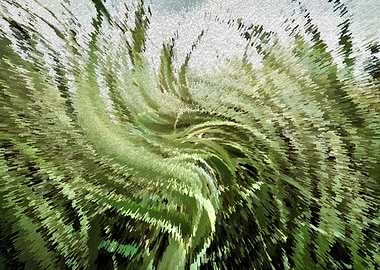 Cattail swirl