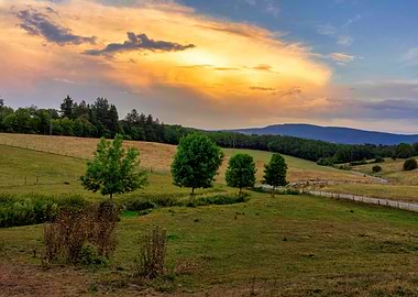 Road field landscape
