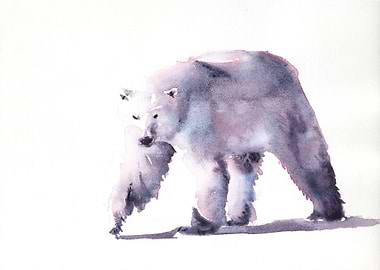 Polar bear fine art