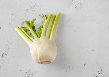 Fresh fennel bulb