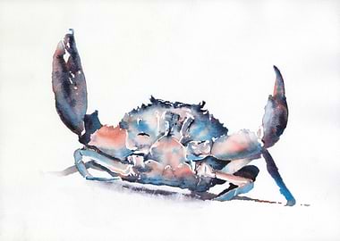Watercolor painting crab