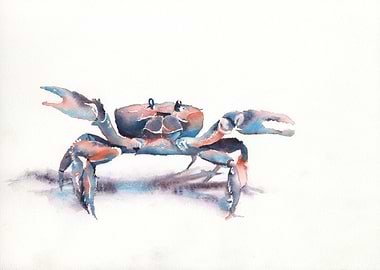 Watercolor painting crab