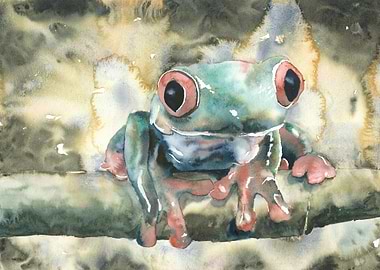 Watercolor painting frog