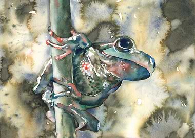 Watercolor painting frog