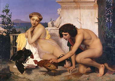 Attending a Cock Fight