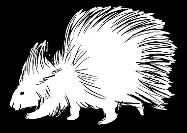 Porcupine