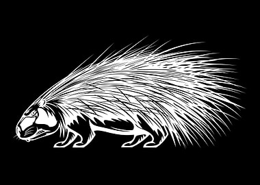 Porcupine