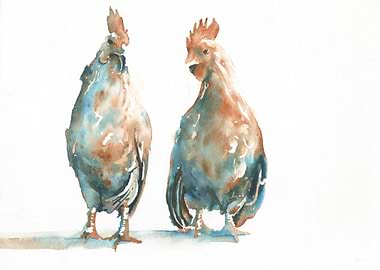 Chicken watercolor art