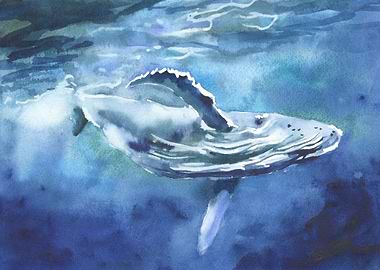 Whale watercolor painting