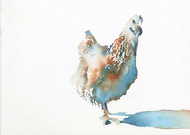 Chicken watercolor art