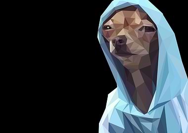 chihuahua wearing hoodie