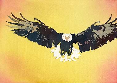 Eagle watercolor painting