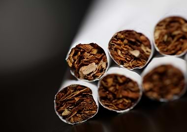 Cigarettes close up