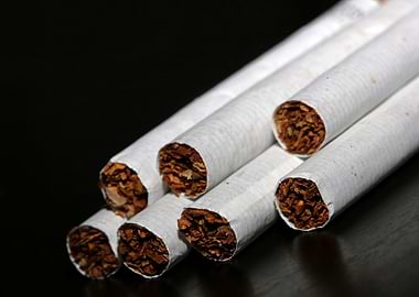 Cigarettes close up