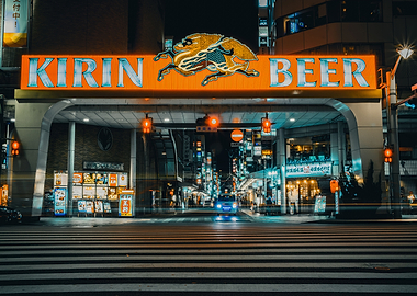 Hiroshima Neon Nights