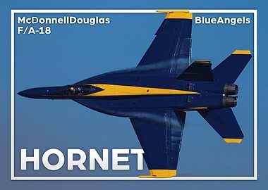 F18 BlueAngels Team