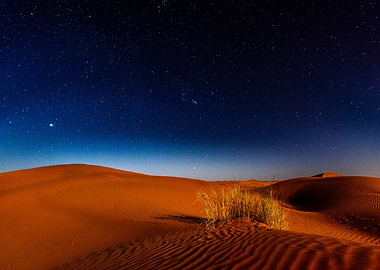 Stars and the Desert