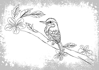 Bird Art Illustration