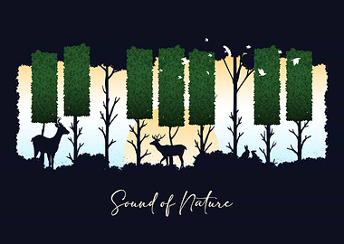 Sound of Nature