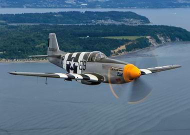 P51B Mustang in flight