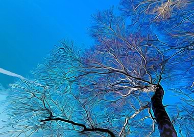 Blue trees