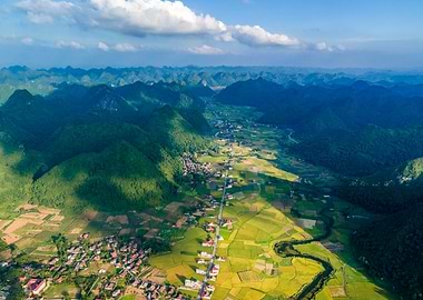 Nice ripen rice fields