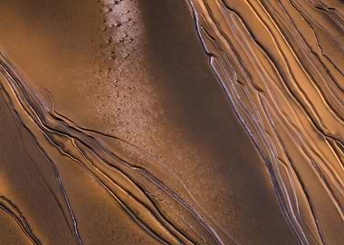 The Emperors Tapestry 3o9