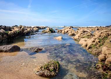 A Path to North Atlantic