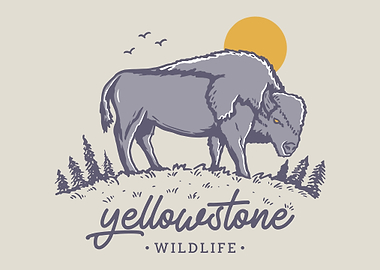 Yellowstone Wildlife