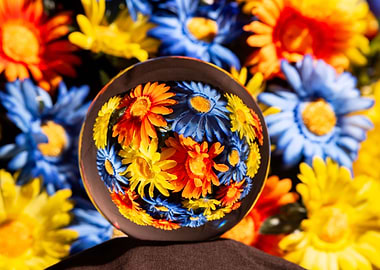 Org Reflection Colors