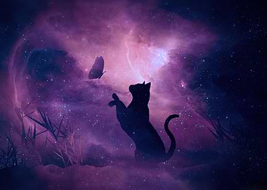 Black Cat and Butterfly