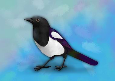 Magpie