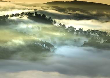 Mountain covered with fog